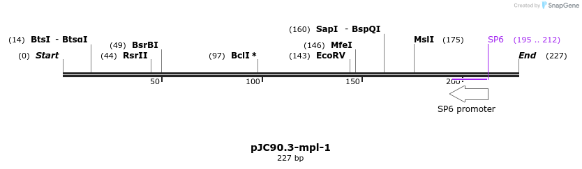 32658_map