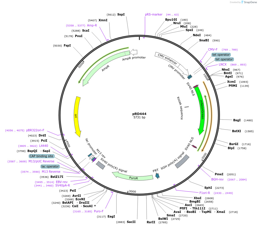 326601_map