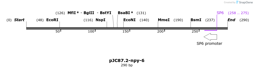 32664_map