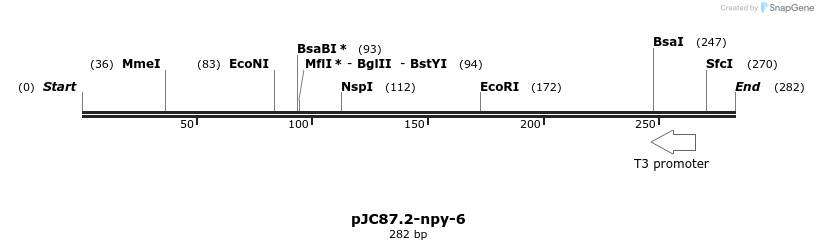 32665_map