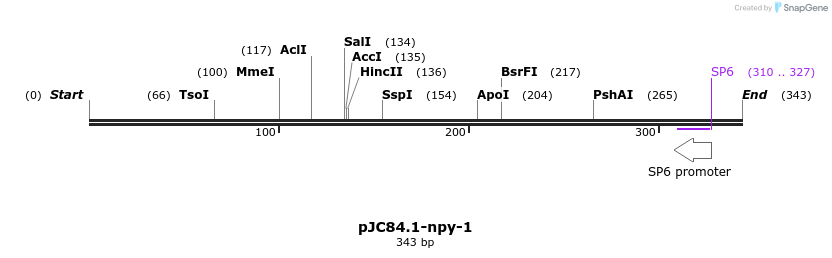 32668_map