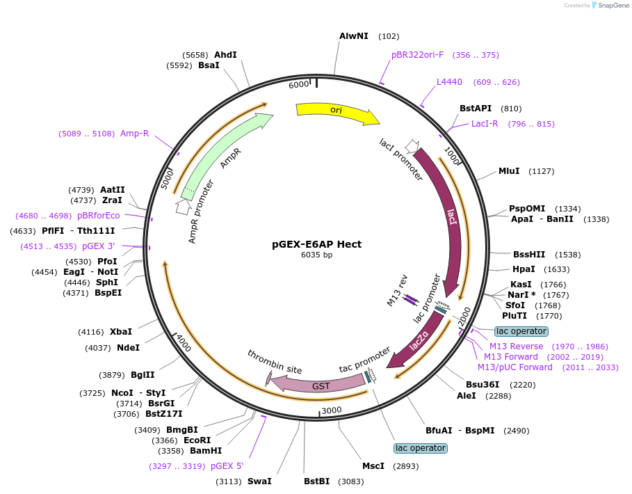326704_map