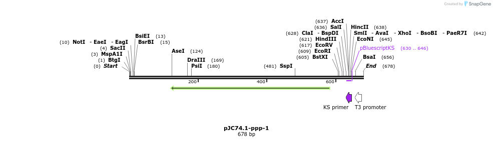 32671_map