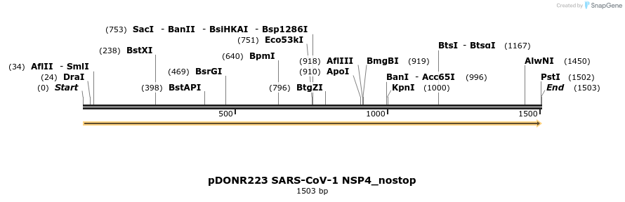 326729_map