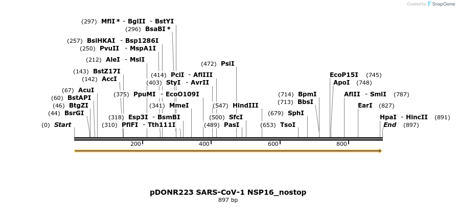 326740_map