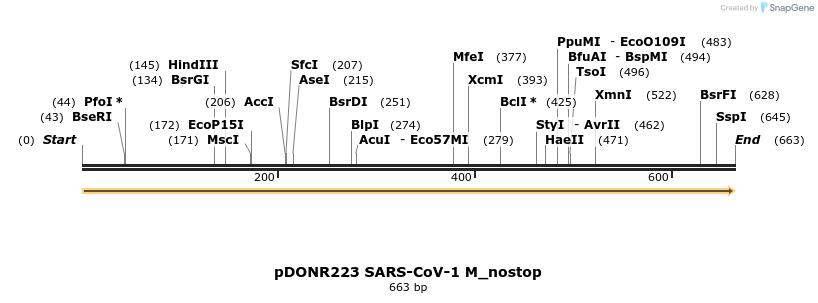 326745_map