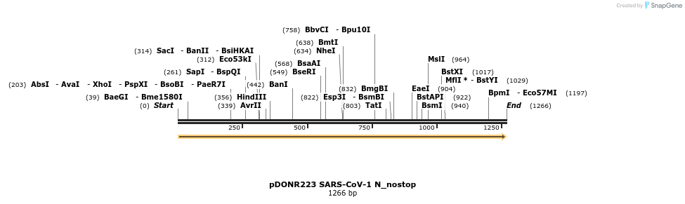 326751_map