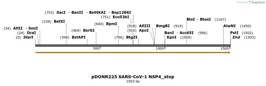 326755_map