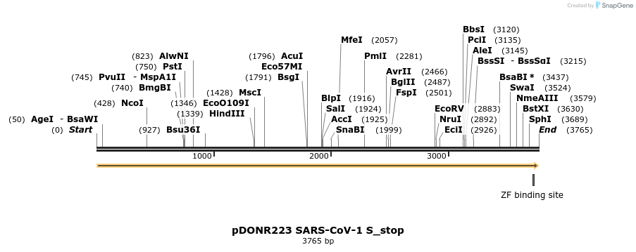 326767_map