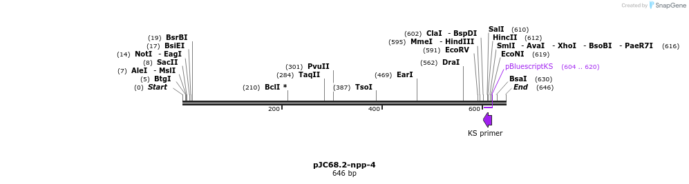 32677_map