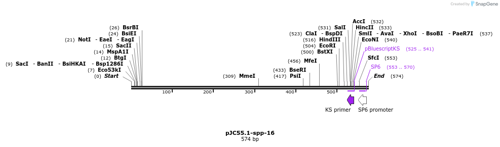 32678_map