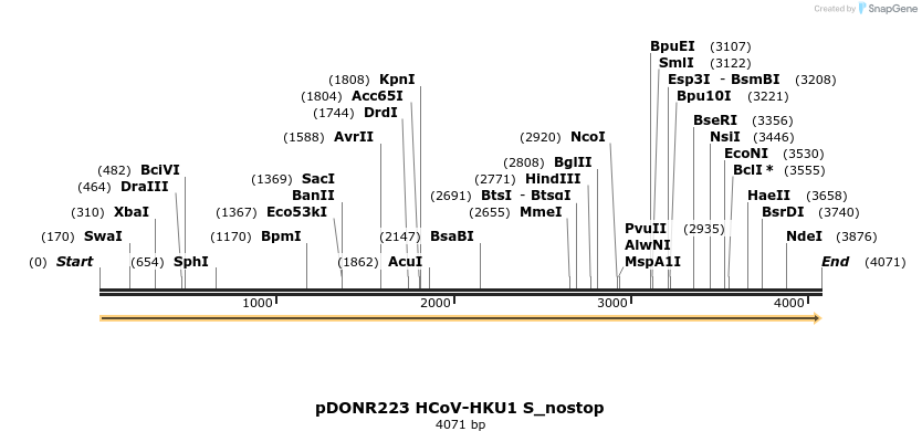 326790_map