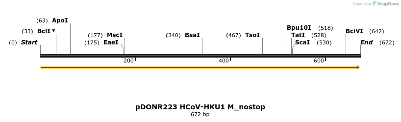 326793_map