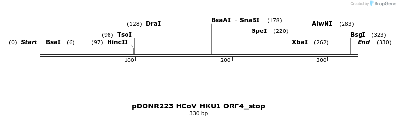 326810_map