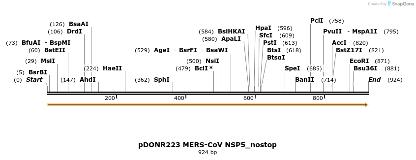 326819_map