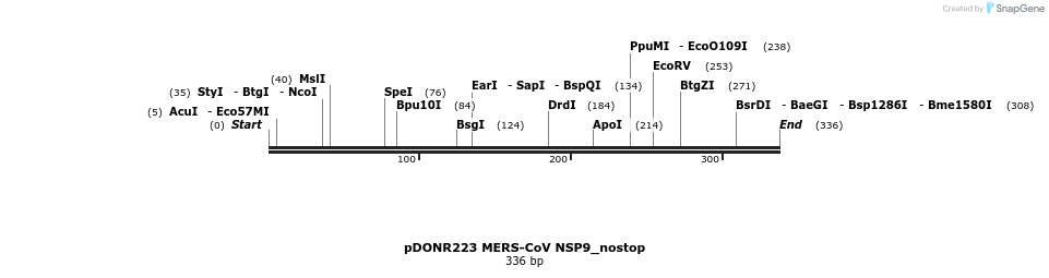 326823_map