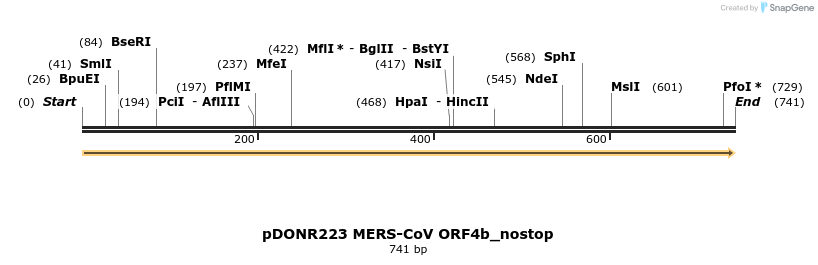 326831_map