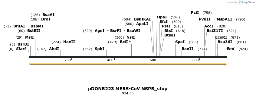 326841_map