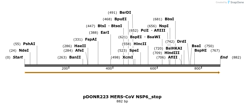 326842_map