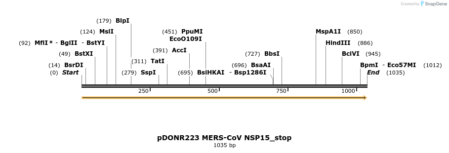 326849_map