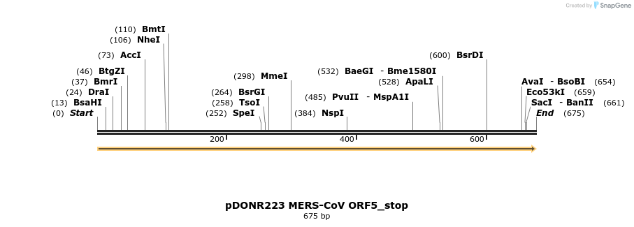 326855_map