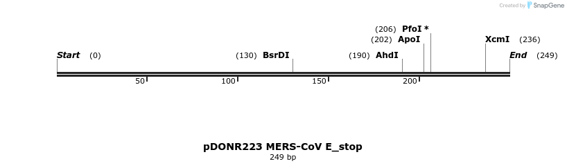 326856_map