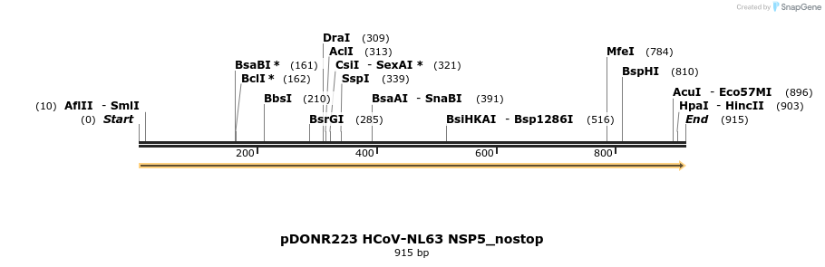 326862_map