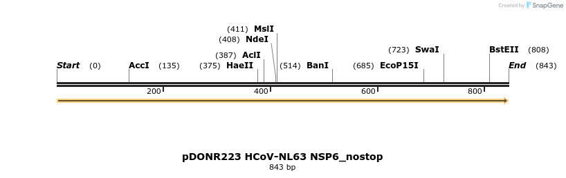 326863_map