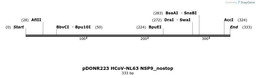 326866_map