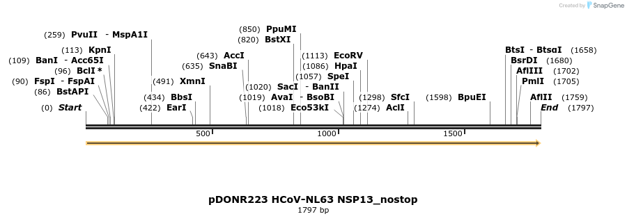 326869_map