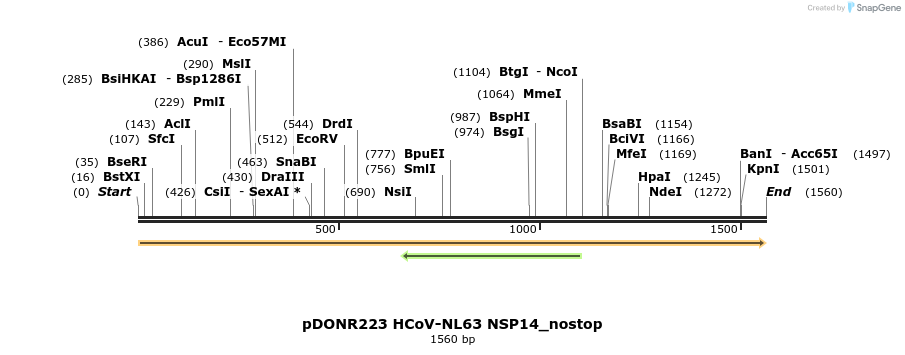 326870_map