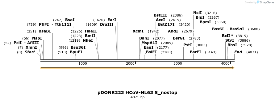 326873_map