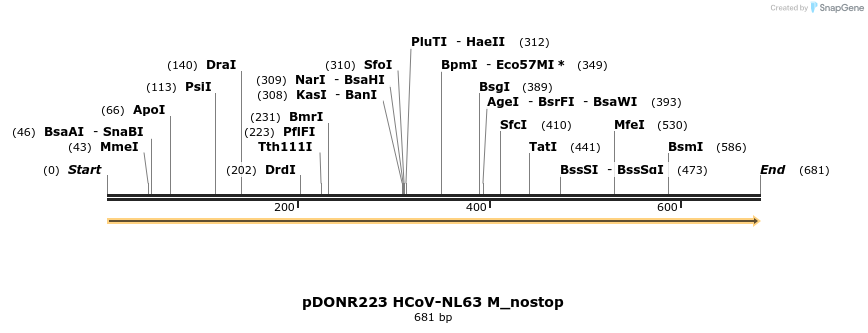326876_map