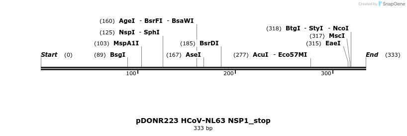 326878_map