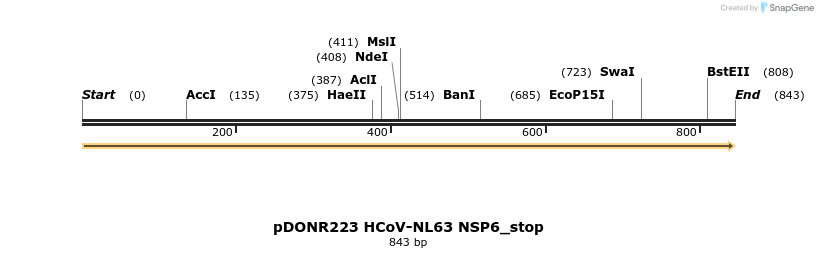 326881_map