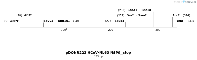 326884_map