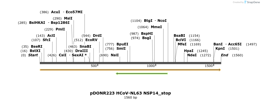 326888_map