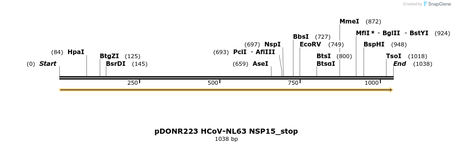 326889_map