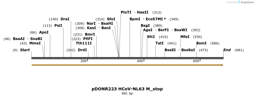 326894_map