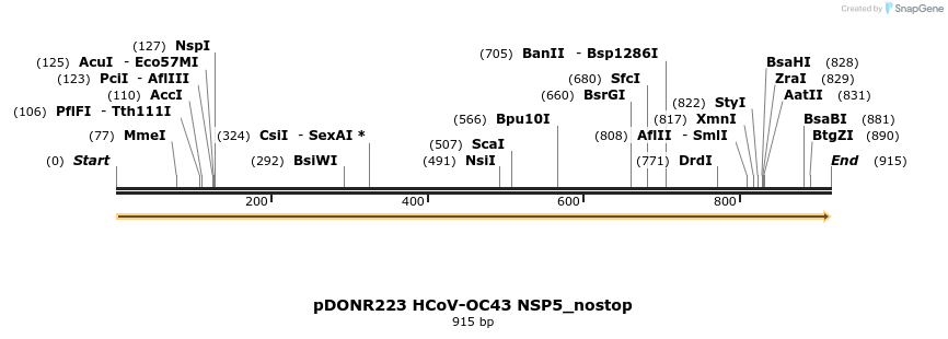 326899_map