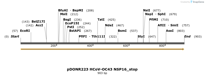 326930_map