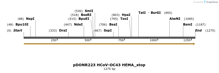 326932_map