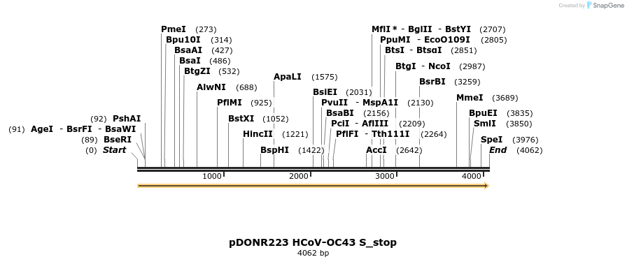 326933_map