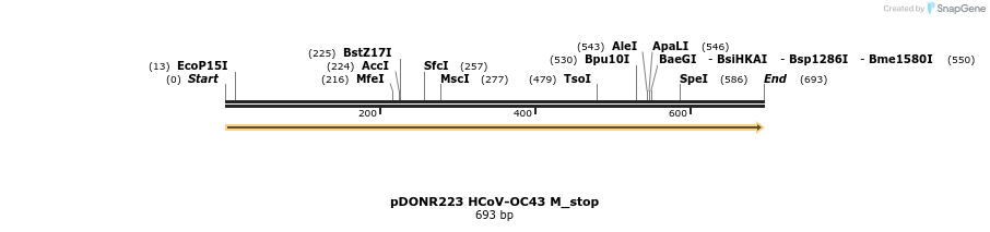 326936_map