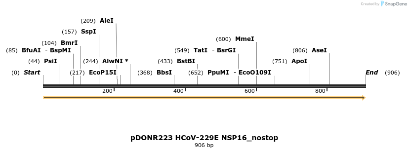 326951_map