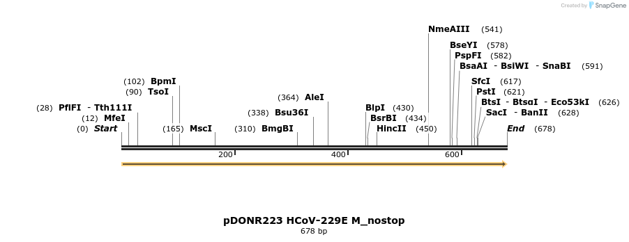 326956_map
