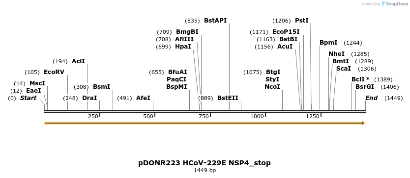 326960_map