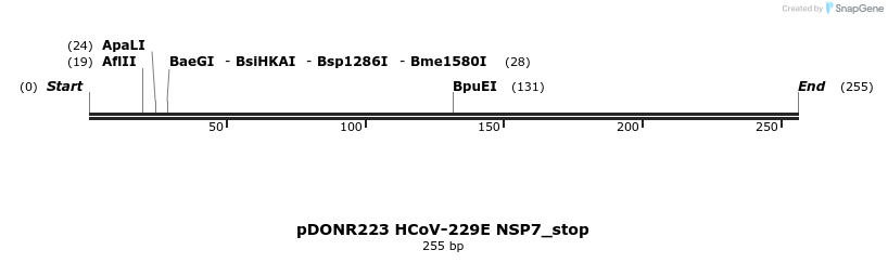 326963_map