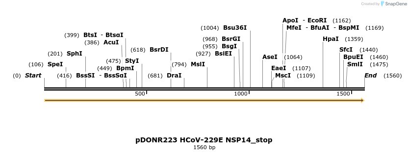 326969_map