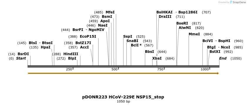 326970_map
